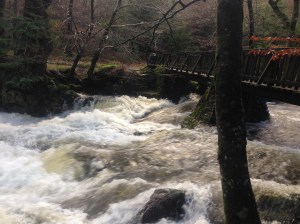 Raging white water in the Shimna River, Tollymore. 