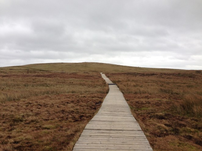Board walk leading to great views of Belfast city